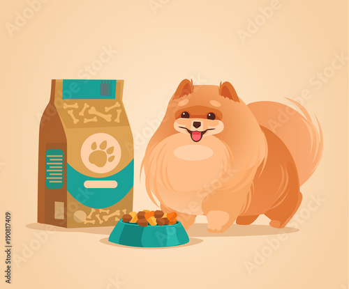 Happy smiling pomeranian spitz dog character waiting for food. Vector flat cartoon illustration