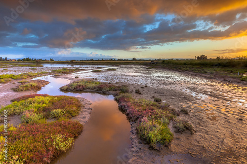 Sunrise over Salicornia Estuary © creativenature.nl