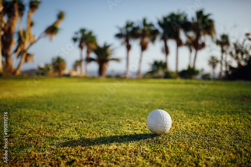 golf ball on green grass, palm trees on background