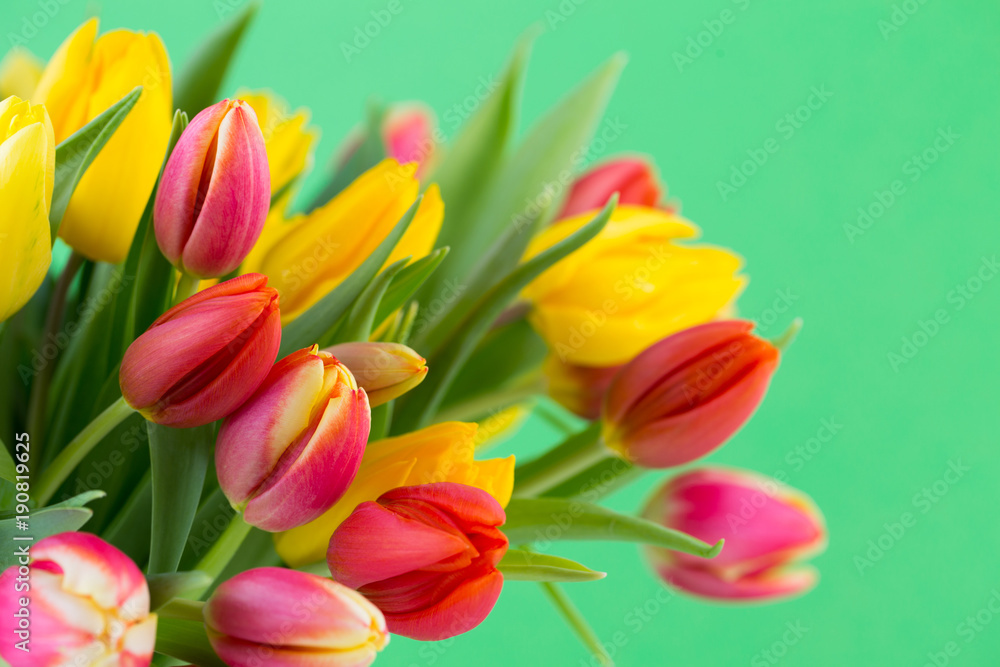 A colorful spring greetings card with tulips for Easter, Mother's Day.