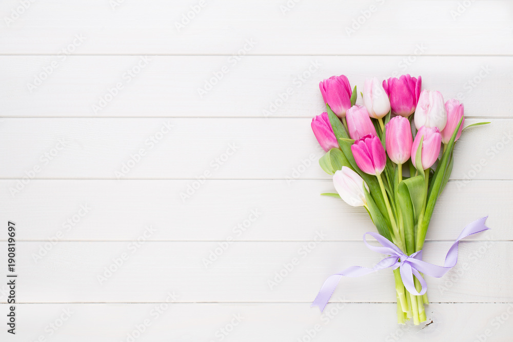 Fototapeta premium Pink tulip on the white background. Easter background