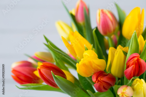 A colorful spring greetings card with tulips for Easter, Mother's Day.