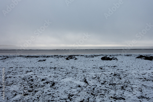Beach covered in seaweed and snow