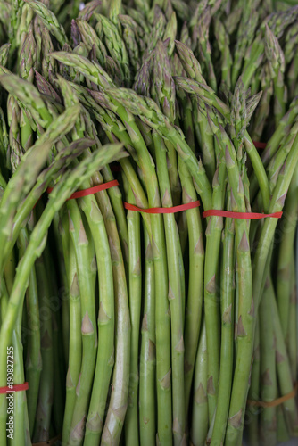 close up asparagus spears