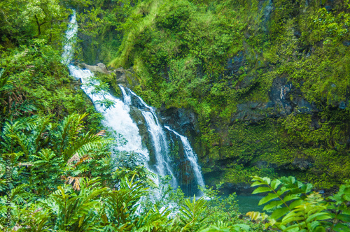 Waterfall scene on Maui