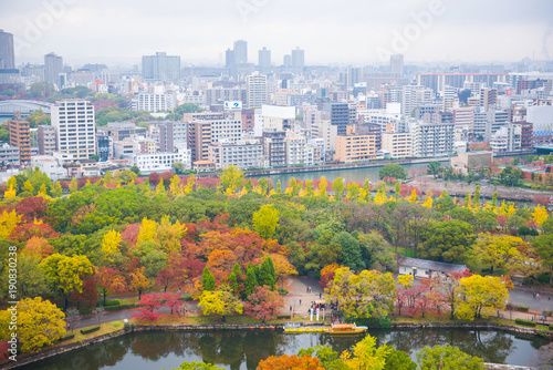 Beautiful landscape with autumn leaves of Osaka city view