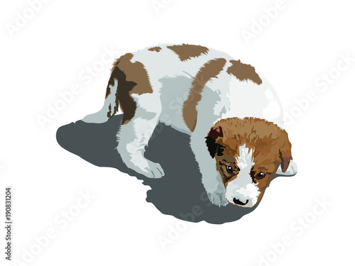尻込みする子犬