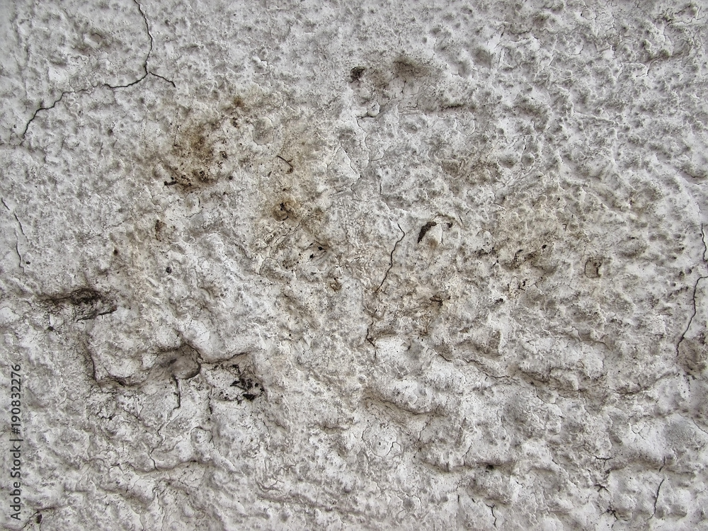 Close-up of Wall Texture