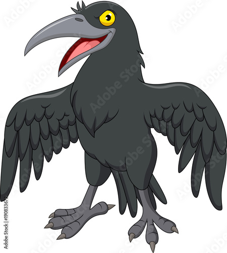 Cartoon crow isolated on white background