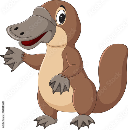 Cartoon platypus isolated on white background photo