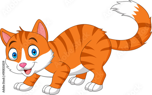 Cartoon funny cat isolated on white background