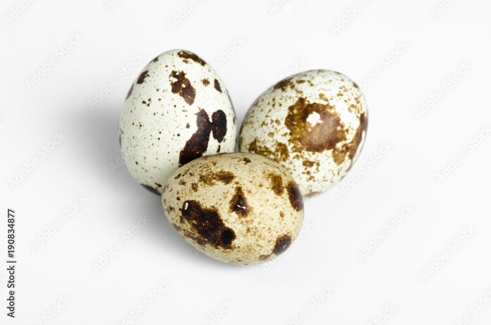 Quail egg isolated on white background Quail egg isolated on white background
