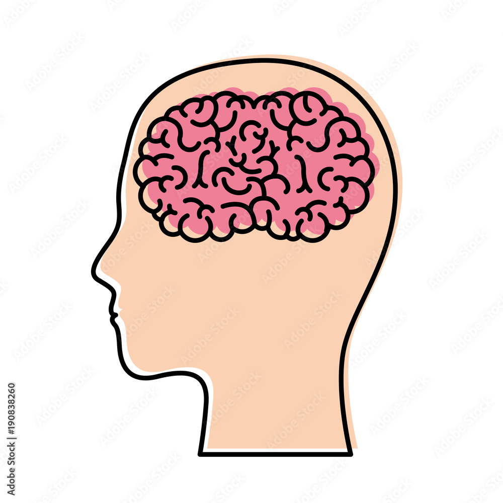 human head face brain science mind intelligence vector illustration human head face brain science mind intelligence vector illustration