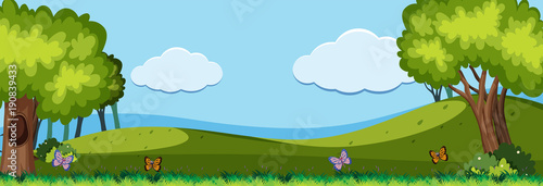 Nature scene with butterflies in the field