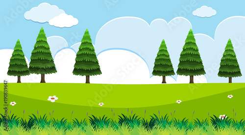 Background scene with pine trees in field