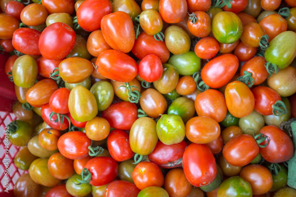 Fresh tomatoes, thailand