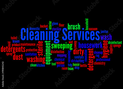 Cleaning Services word cloud concept 3