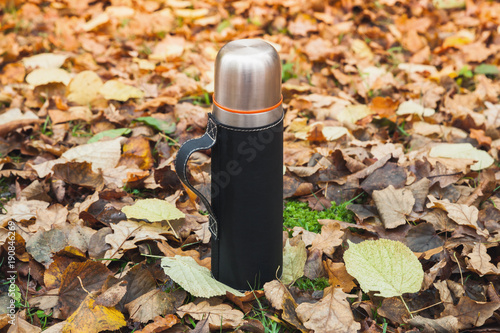 Thermos made of stainless steel on leaves