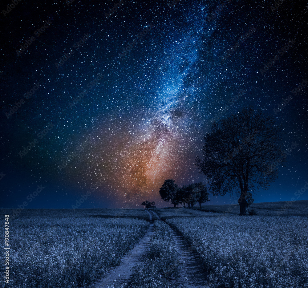 Milky way and field with trees in summer
