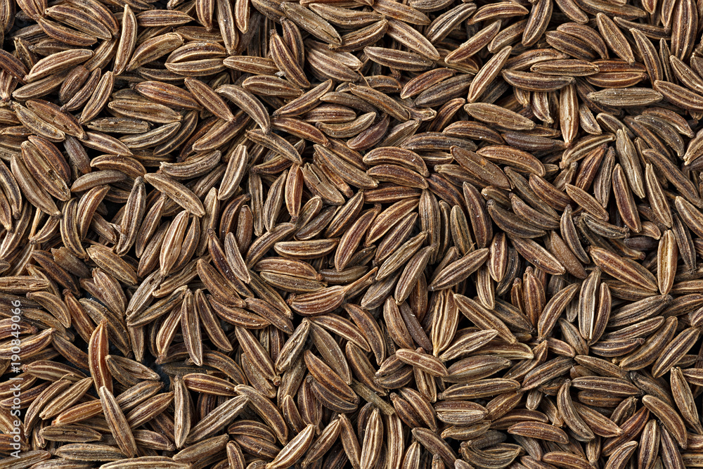 Fennel seeds for cooking. Photographed close-up.