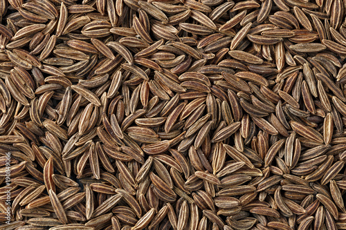 Fennel seeds for cooking. Photographed close-up.