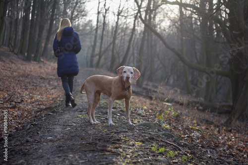 woman walking her dog in forest