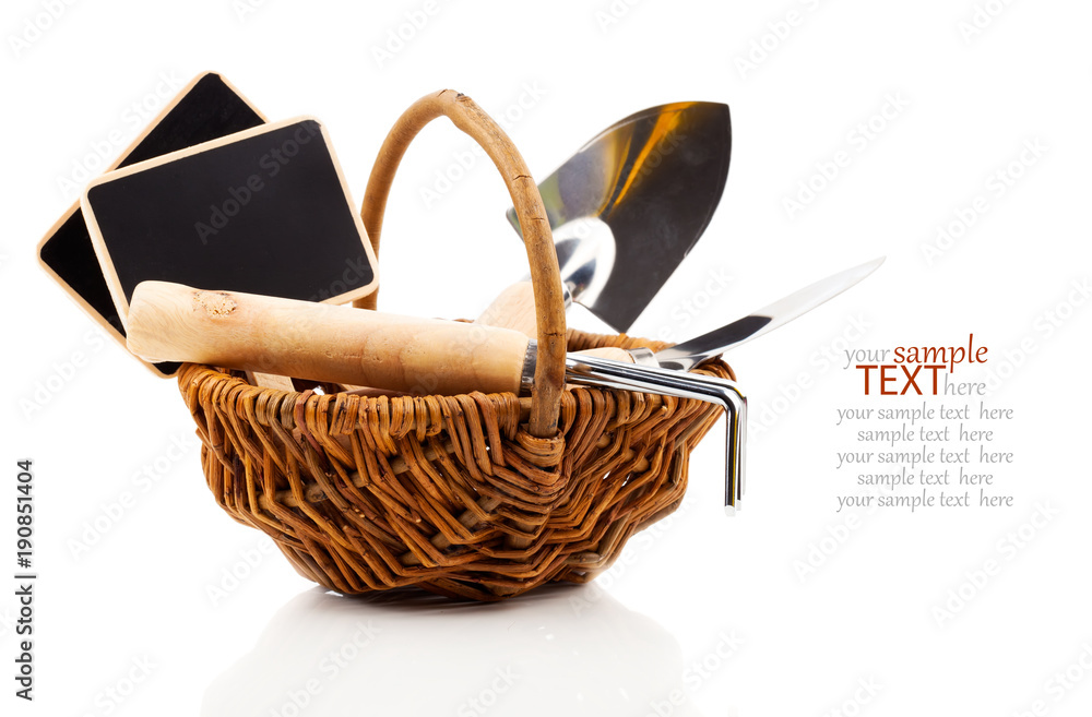 Fototapeta premium Garden tools with seedlings vegetable, on a white background