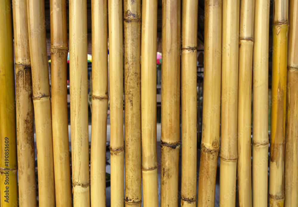 bamboo wall for background bamboo wall for background