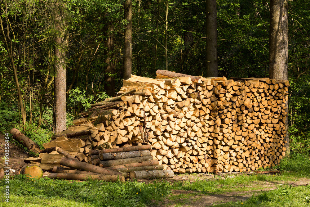Preparation of firewood for the winter.