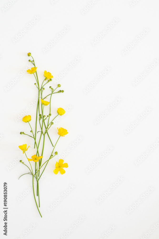 Postcard with fresh flowers Ficaria verna on a light background Postcard with fresh flowers Ficaria verna on a light background