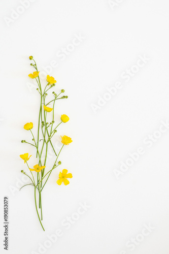 Postcard with fresh flowers Ficaria verna on a light background