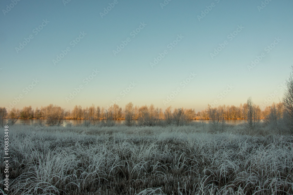 Obraz premium Im Naturpark Bourtanger Moor - Bargerveen