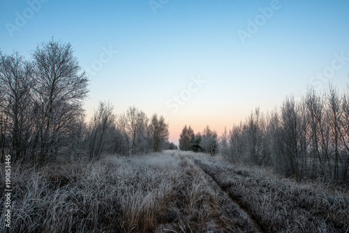 Im Naturpark Bourtanger Moor - Bargerveen