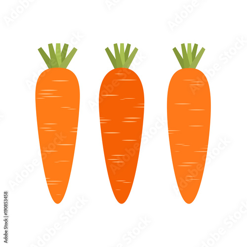 Carrot. Icon. Vector illustration.