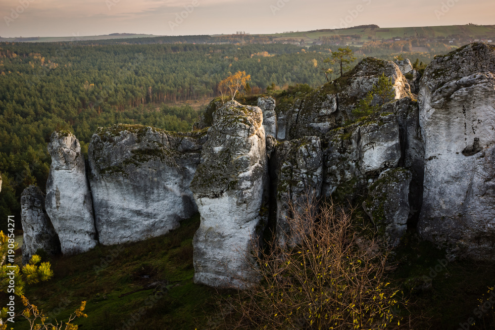 Fototapeta premium Rocks near castle in Mirow on the Jura Krakowsko-Czestochowska, Poland