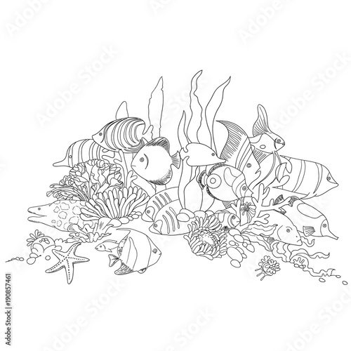 coral reef fish outline cartoon doodle. vector illustration