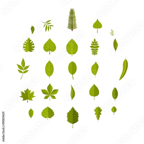 Leaf icons set. Flat illustration of 25 leaf vector icons isolated on white background