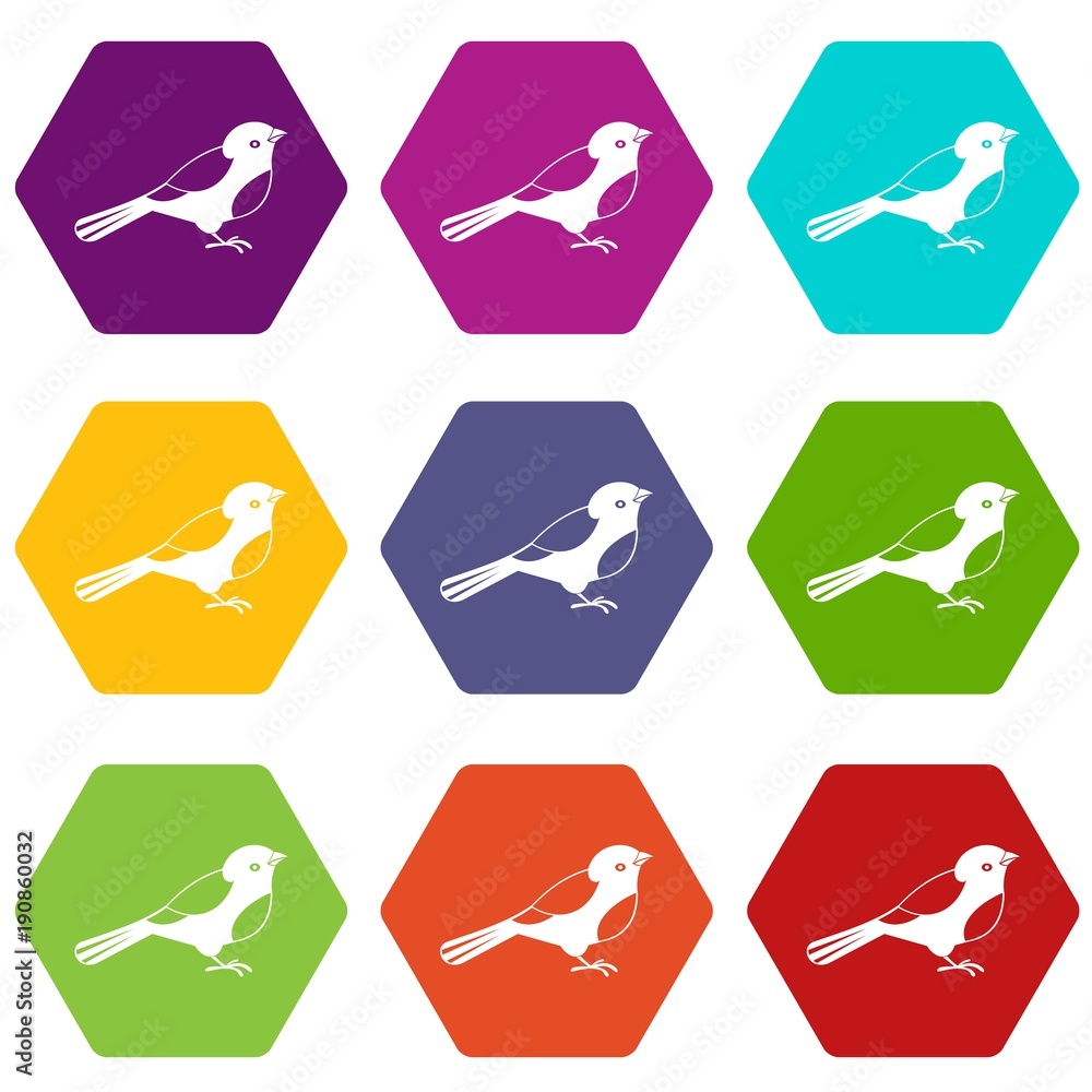 Bird icon set color hexahedron