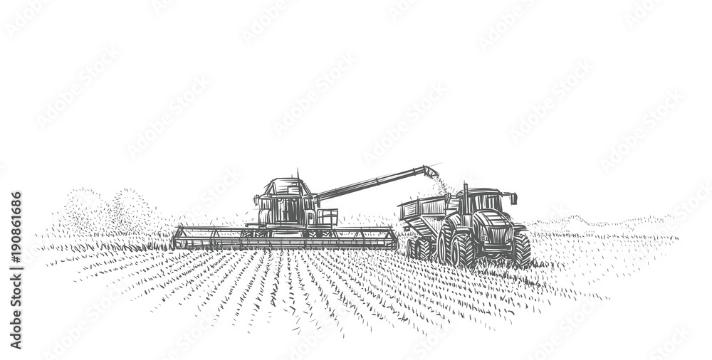 Combine Harvester and tractor working in field illustration. Vector. 