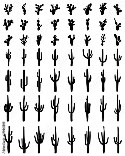 Black silhouettes of different cactus on a white background photo