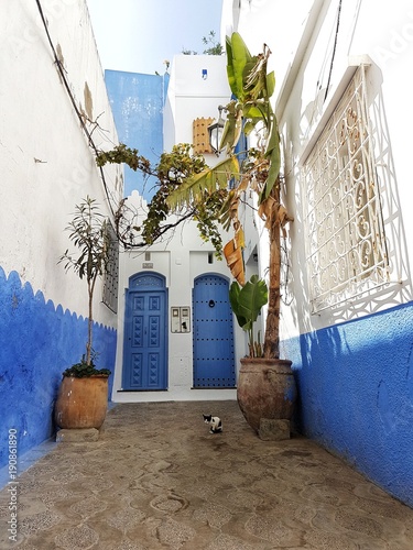 Asilah błękitna architektura klimat Afryki  © Katarzyna