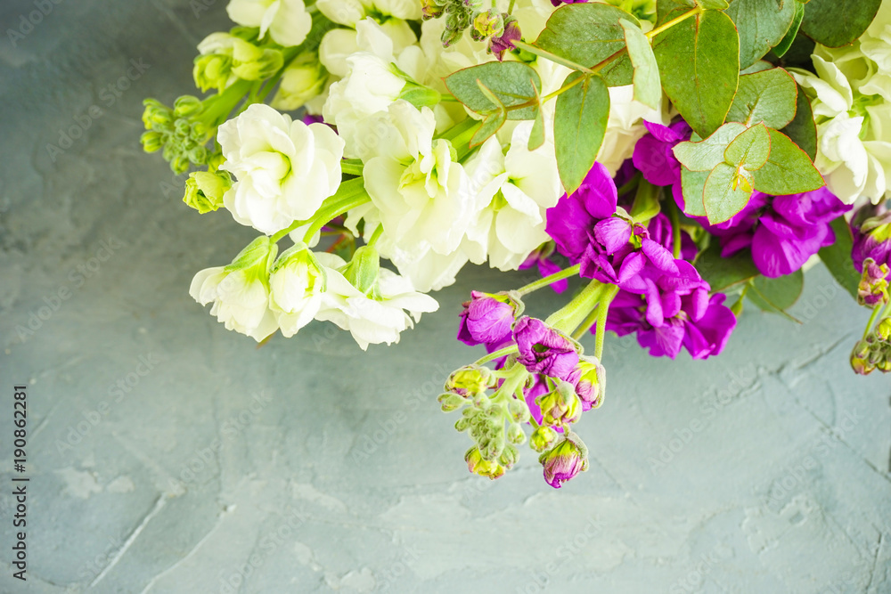 Beautiful Snapdragon Flowers In A Bouquet Stock Photo Adobe Stock Beautiful Snapdragon Flowers In A Bouquet Stock Photo Adobe Stock
