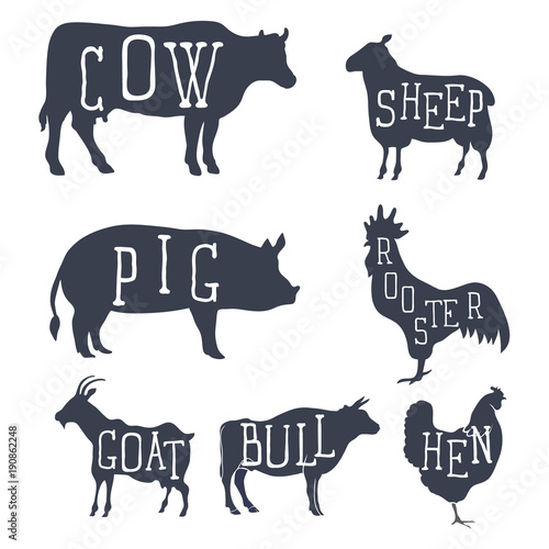 Farm animals, vector set icons. Collection of silhouettes such as cow, bull, sheep, pig, rooster, chicken, hen, goat. Vector
