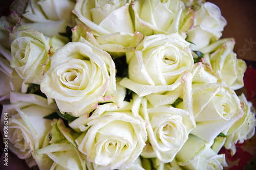 White roses in a bouquet