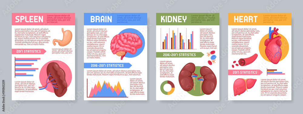 Human Internal Organs Posters Set