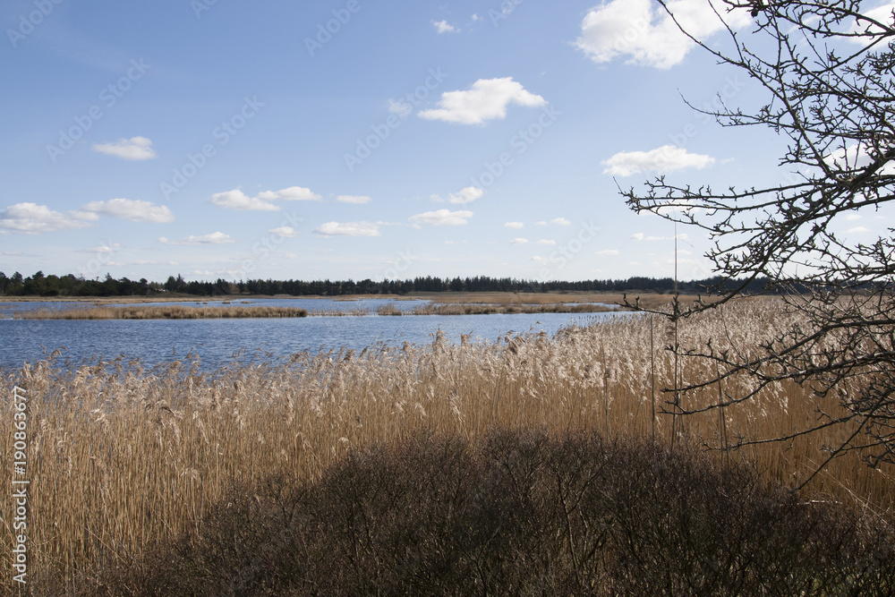 Vogelreservat