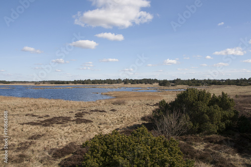 Vogelreservat