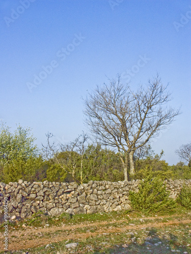 Natursteinmauer in kroatischer Landschaft