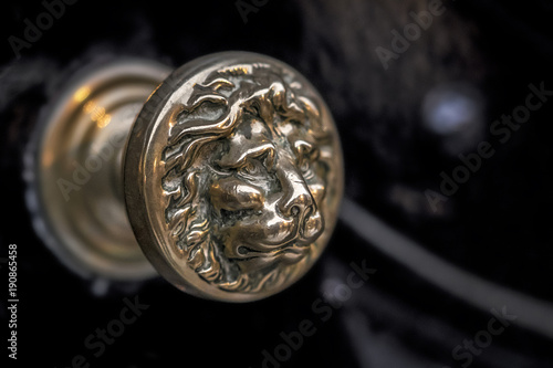 Close up of an old polished brass lion door handle.