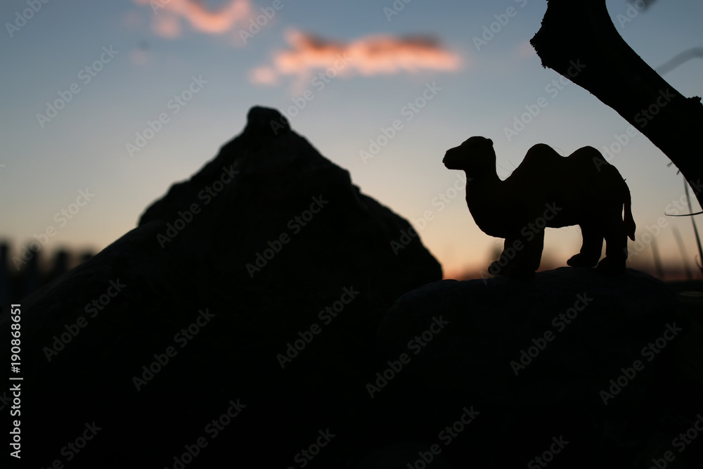 camel on sunset pyramid